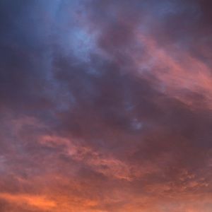 Meet your Posher, Kyra